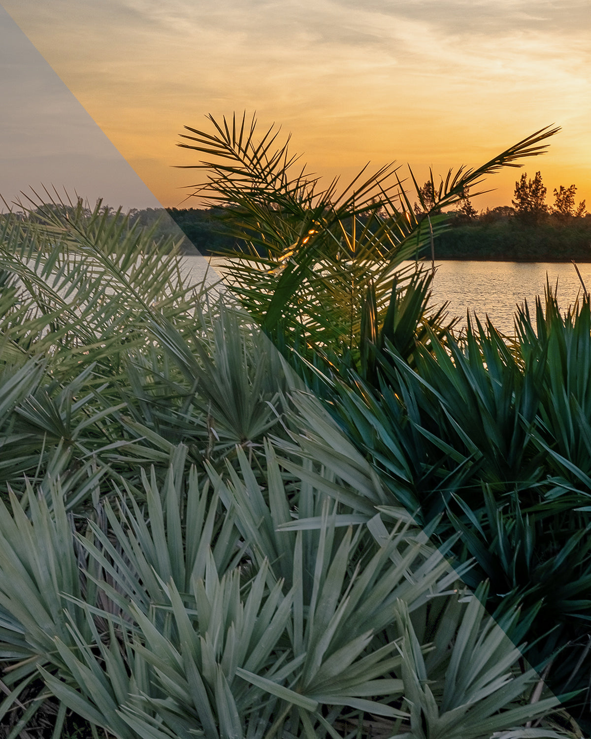 Justdval Creator Pack - Premium LUT Pack